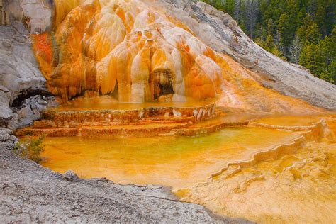 Mineral Deposits And Geyser Pool Mammoth Terrace Hot Springs