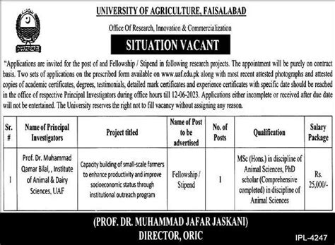 University Of Agriculture UAF Faisalabad Jobs 2023