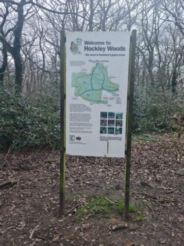 Hockley Woods Essex Stragglers Orienteering Society