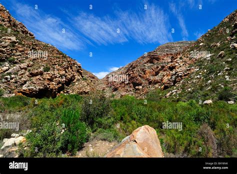 Red Sandstones Of The Cape Fold Belt South Africa Stock Photo Alamy