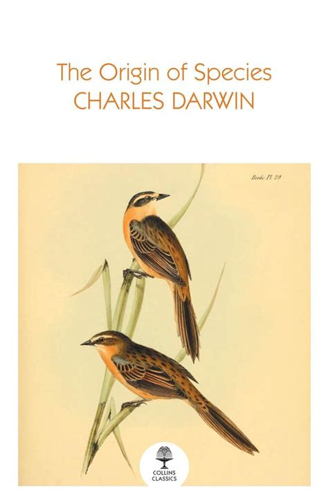 The Origin Of Species Charles Darwin Buch Jpc