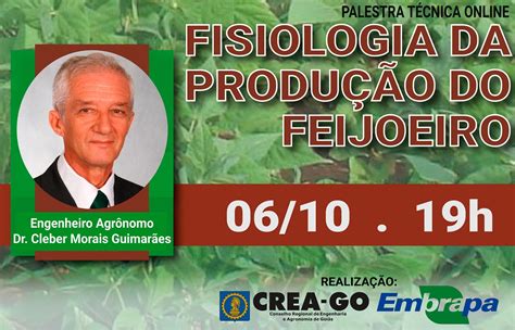 CREA GO Mais Capacitação PALESTRA TÉCNICA ONLINE FISIOLOGIA DA