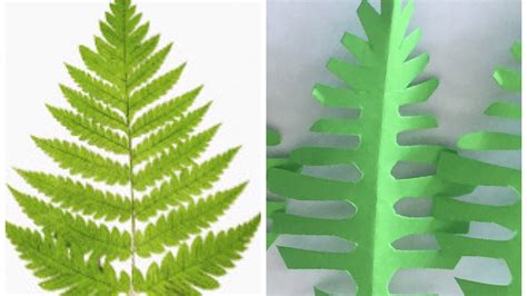 DIY Paper Fern Leaves Tutorial YouTube