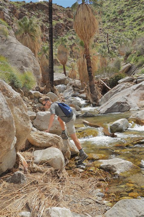 Hiking the Murray Canyon - Agua Caliente Reservation