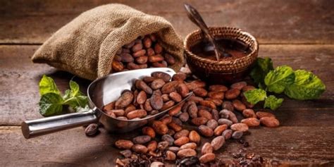 Salsa con cacao para platillos salados Revista KENA México