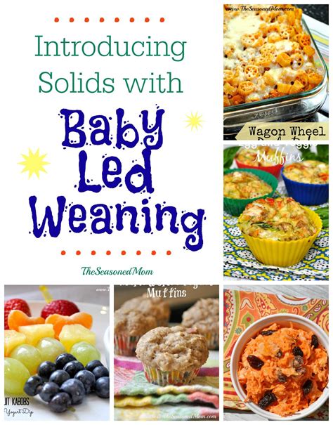 Guest Post Introducing Solids With Baby Led Weaning The Seasoned Mom