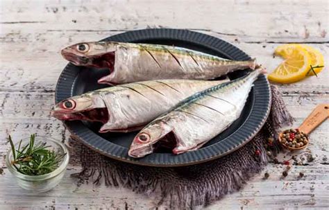 Order Indian Mackerel Online