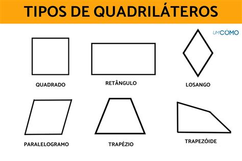 Tipos De Quadril Teros Caracter Sticas E Formas