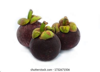 2,104 Mangosteen malaysia Images, Stock Photos & Vectors | Shutterstock