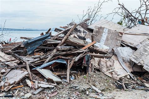 Storm Debris Removal Stock Photos Pictures And Royalty Free Images Istock