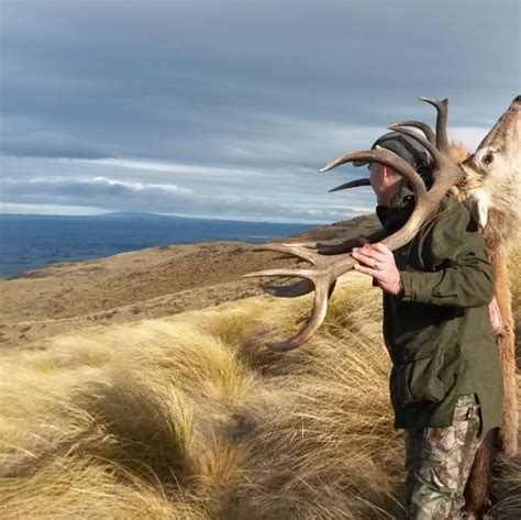 New Zealand Red Stag: Epic Hunts - Guaranteed Opportunities