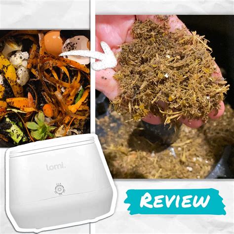 Lomi Composter Honest Review Bear Cusine