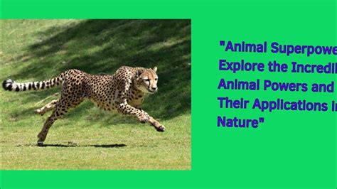 Animal Superpowers Explore The Incredible Animal Powers And Their