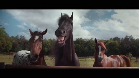 Vw Tiguan Tv Spot Laughing Horses 2016 New Neu Youtube