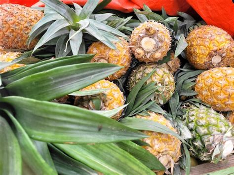 Premium Photo | When life gives you pineapples make pina colada