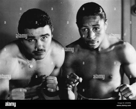 Archival Bantamweight Boxer Hi Res Stock Photography And Images Alamy