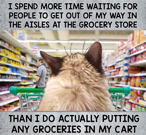 Grumpy Cat Life 🛒😾 Funny Grumpy Cat Memes Funny Memes Sarcastic