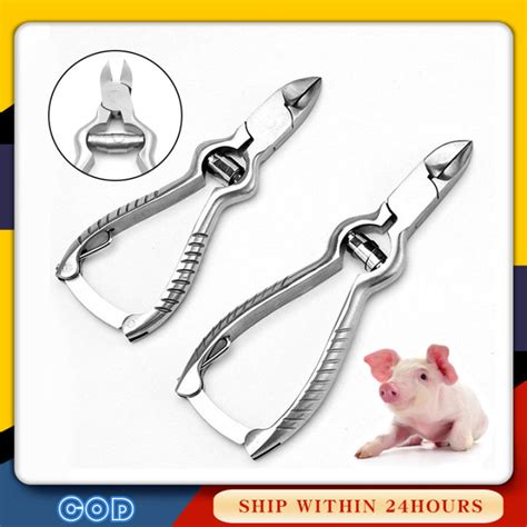 Cm Cm Stainless Steel Piglets Teeth Cutter Teeth Clipper Nipper Pet