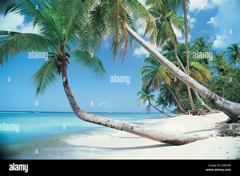 Pigeon Point Tobago Trinidad Tobago Stock Photo - Alamy