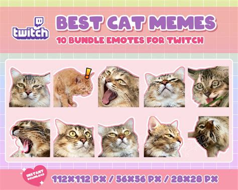 10 Cute Cat Memes Emote Pack 10 Cat Emotes Sad Emote Kitty Etsy