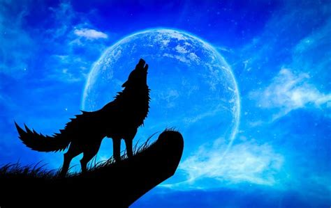 Full Wolf Moon 2024 Meaning Regan Charissa