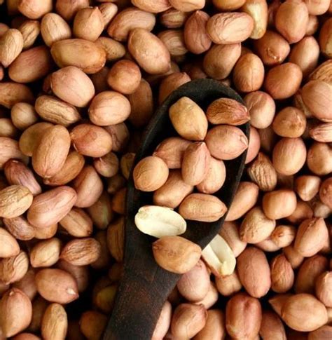 Organic Sonora Almond Nuts At Rs Kg Organic Almond Nuts In