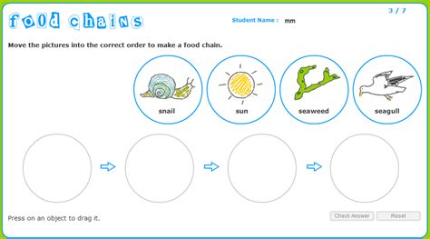 Printable Food Chain Worksheets