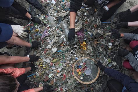 Praia Ondas Limpas Praia De Boa Viagem Recife Pe Sea Shepherd Brasil