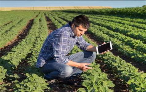 Gestoría Serrano y una propuesta laboral para Ingenieros Agrónomos