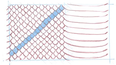 How to draw scales • John Muir Laws