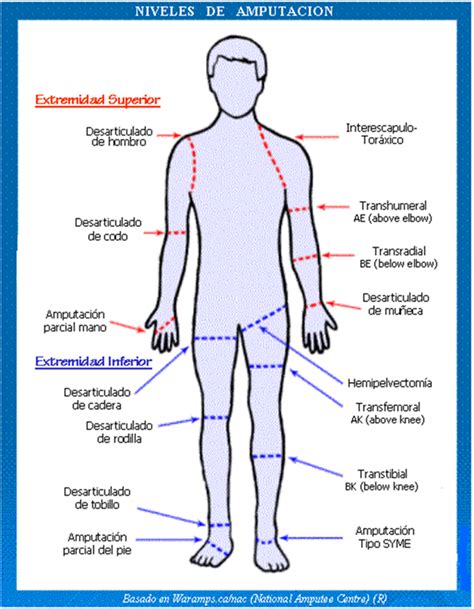 Manual De Traumatologia Y Ortopedia Amputaciones