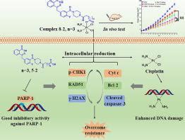 Dualtarget Platinum IV Complexes Reverse Cisplatin Resistance In