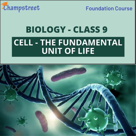 Cell The Fundamental Unit Of Life