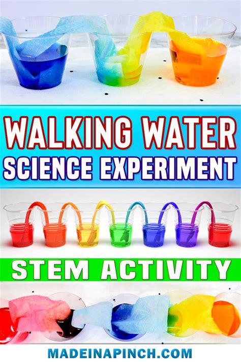 Easy Rainbow Walking Water Experiment For Kids Recipe Walking Water