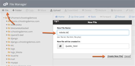 How To Use File Manager In CPanel