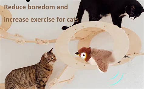 Amazon Interactive Chirping Bird Cat Toy Flapping Bird Cat Toy