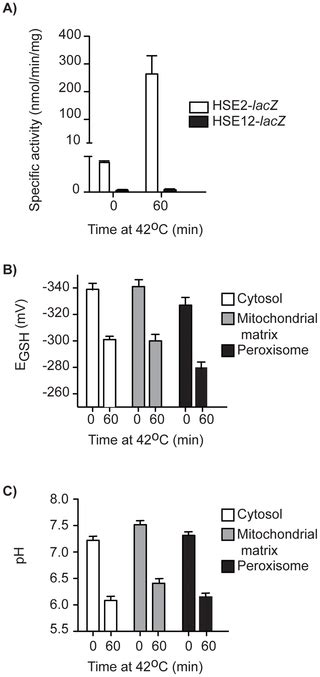 Distinct Redox Regulation In Sub Cellular Compartments In Response To