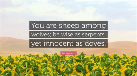 Anonymous Quote: “You are sheep among wolves; be wise as serpents, yet ...