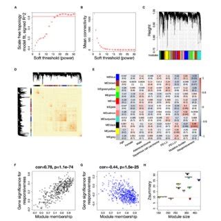 Wgcna Analysis And Identification Of Key Modules Related To Icb