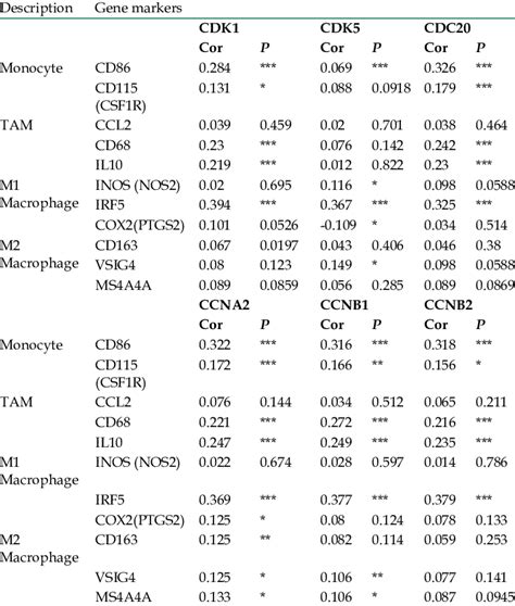 Correlation Analysis Between Expression Of Cdk Cdk Cdc Ccna