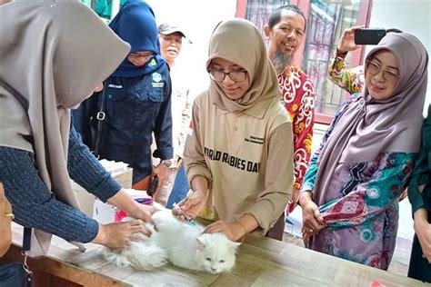 Distan Kotim Gelar Aksi VAKSINASI GRATIS Dalam Peringatan Hari