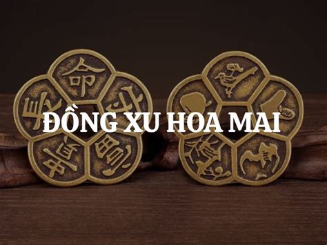 dong xu hoa mai la gi  nghia phong thuy cua dong xu hoa mai