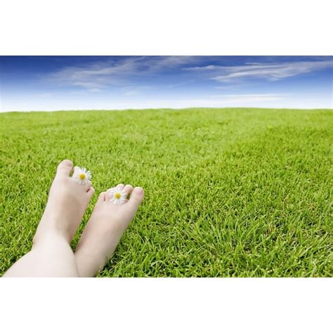 Girl S Feet On Grass With Flowers Between Her Toes Poster Print 34 X 22