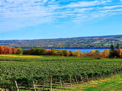 Sip Away and Discover America’s Lesser-Known Wine Regions — Daily Passport