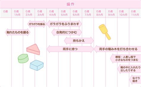 図でみる赤ちゃんの操作発達の流れ｜赤ちゃんの成長｜ベネッセ教育情報サイト