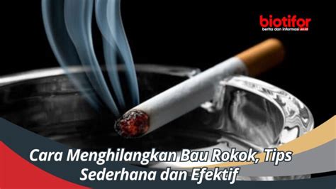 Cara Menghilangkan Bau Rokok Tips Sederhana Dan Efektif Biotifor