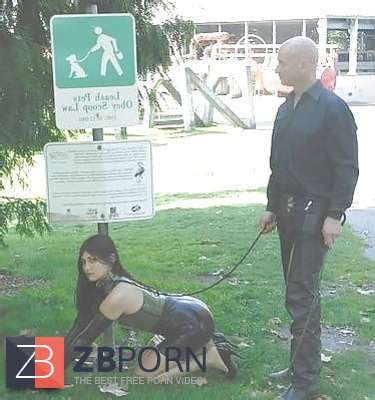 Abased Pussies ZB Porn