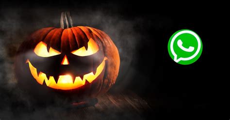 Cómo activar el modo Halloween de WhatsApp en tu celular Salud180