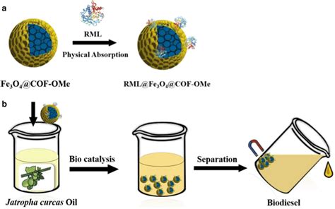 Schematic Representation Of A Core Shell Magnetic Nanoparticles And