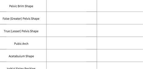 [Solved] Pelvic Brim Shape False (Greater) Pelvis Shape True (Lesser ...